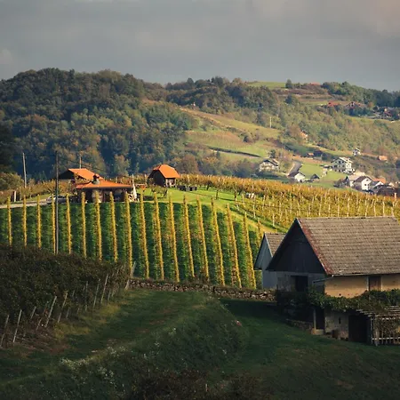 Vineyard Sunny Hill - Happy Mirna
