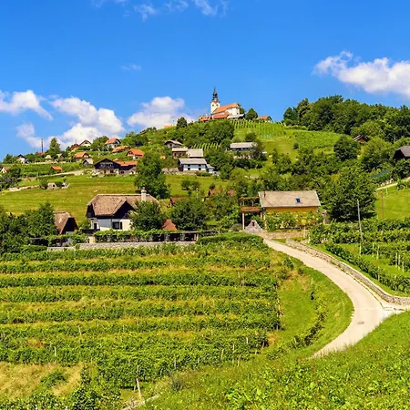 Vineyard Sunny Hill - Happy * Mirna